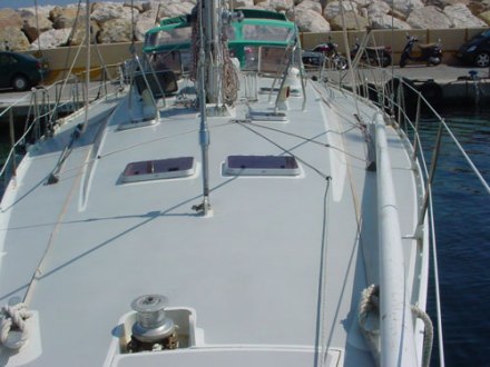 Tarka en Polyn�sie